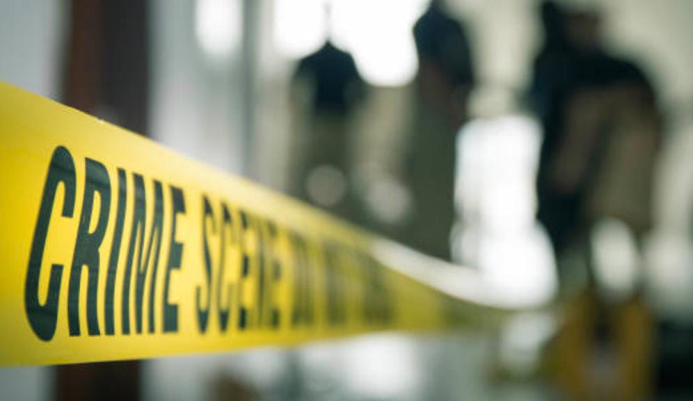 Polisi Gerebek Kontrakan yang Dihuni Gangster di Bogor, Bocah 14 Tahun Diamankan Foto : Ist