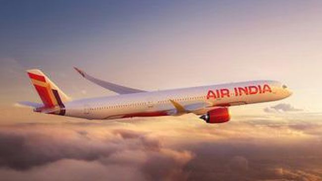 Ilustrasi pesawat Air India. Foto : Ist