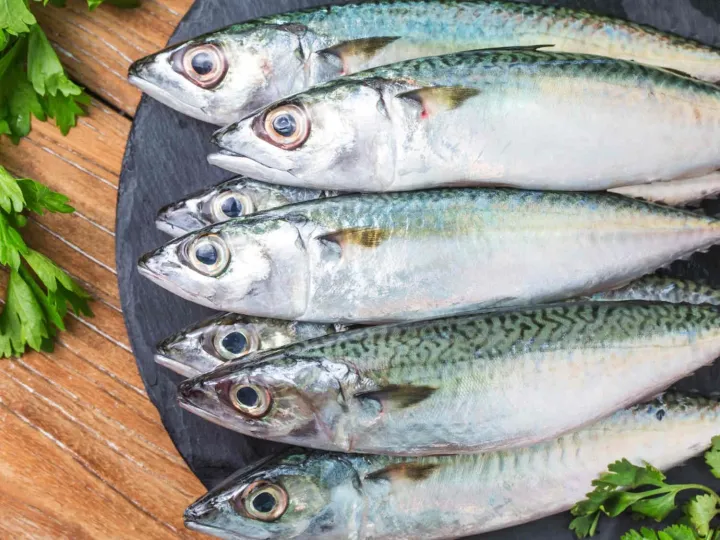 Diskan Klaim Konsumsi Ikan Di Pandeglang Meningkat Ist.