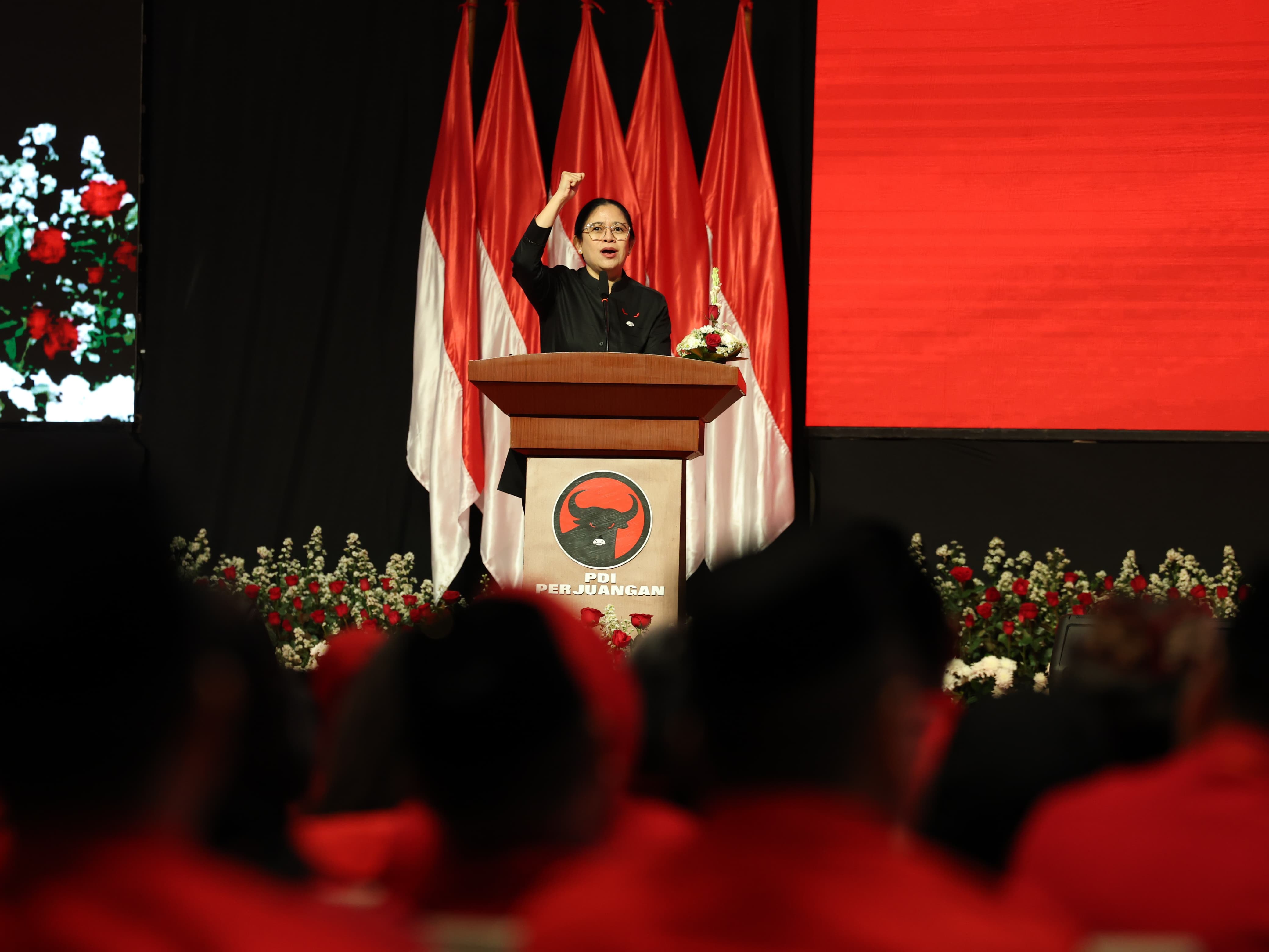 Ketua DPP PDIP Puan Maharani. Foto : Ist