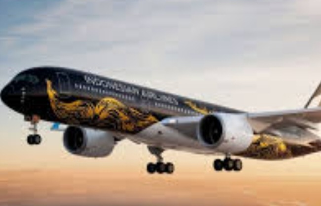 Pesawat Indonesia Airlines.  Foto : Ist