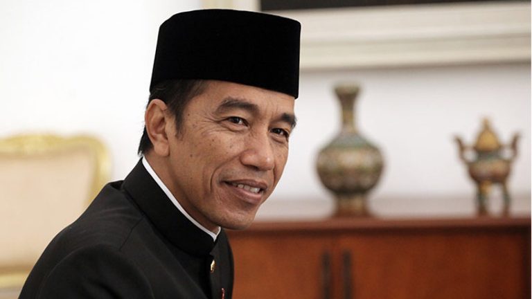 Mantan Presiden RI ke 7 Joko Widodo. Foto : Ist