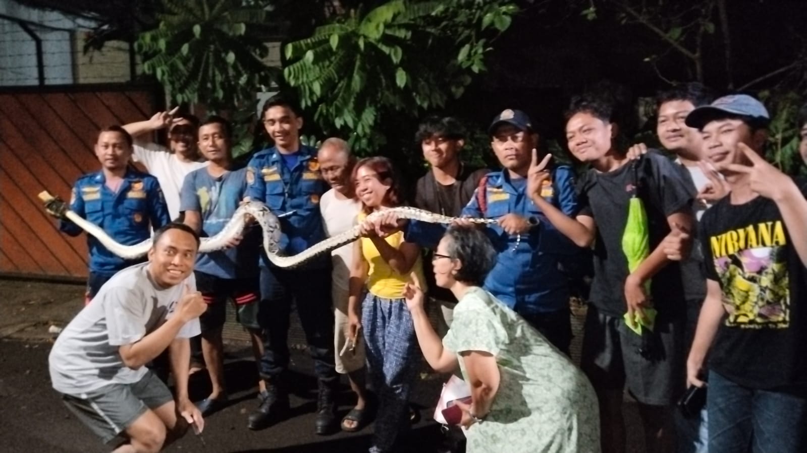 Petugas Damkar Tangsel saat mengevakuasi ular piton di wilayah Ciputat Timur, Rabu (20/8)