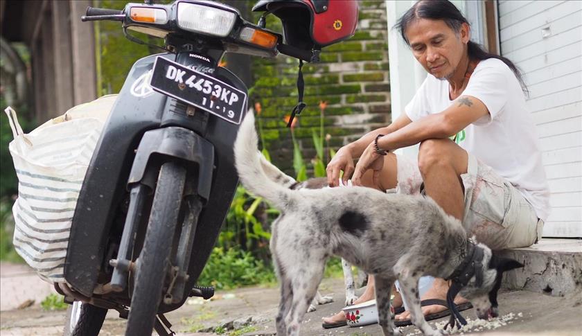 Cerita Seskab Teddy Soal Anjing Yang Selamatkan Warga Saat Banjir Besar Bali Ilustrasi. Foto : ist