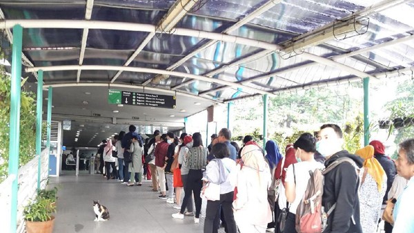 Antrian penumpang TransJakarta di Halte Ragunan. Foto : Ist