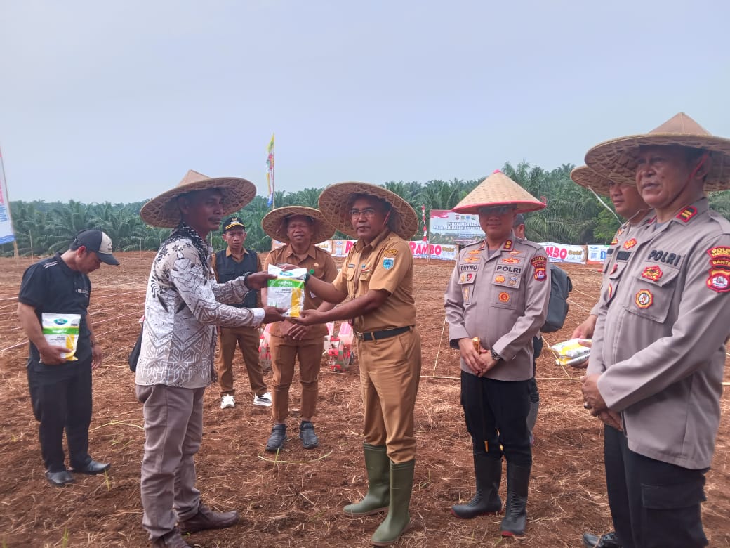 Polres Pandeglang bersama DPKP Kabupaten Pandeglang melakukan kolaborasi penanaman jagung di lahan Perluasan Areal Tanam (PAT) yang berlokasi di Kampung Panenjoan, Desa Pasirdurung, Kecamatan Sindangresmi, Kabupaten Pandeglang, Selasa (9/9/2025).(Istimewa)