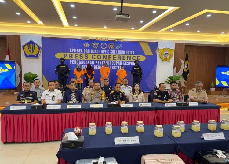 Bea Cukai Soetta Gagalkan Penyelundupan Benih Lobster Rp 5,17 M Pihak Bea Cukai Bandara Soekarno-Hatta saat mengekpose pengungkapan kasus penyelundupan benih lobster.