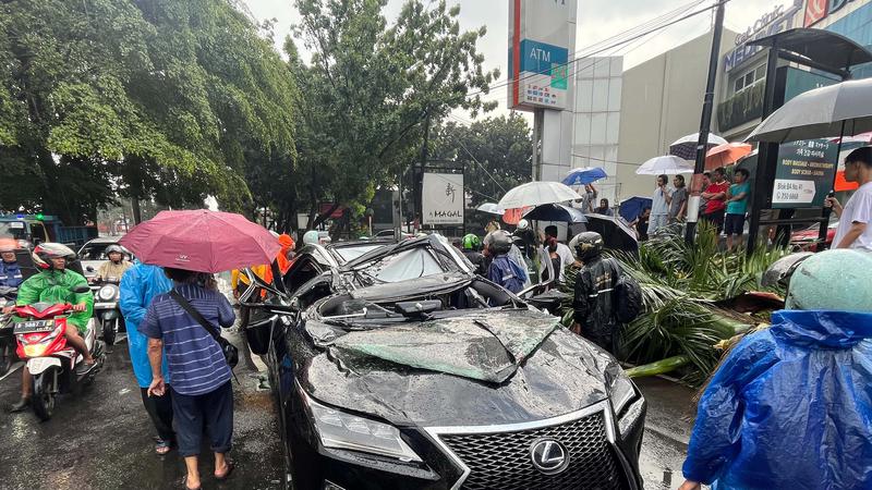 Hujan Lebat dan Angin Kencang, Pengendara Mobil Tewas Tertimpa Pohon di Pondok Indah Mobil yang tertimpa pohon mengakibatkan pengendaranya meninggal. Foto : Ist