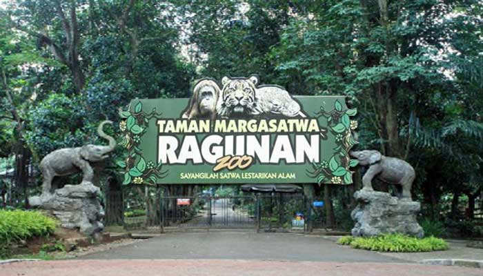 Night at the Ragunan Zoo Taman Margasatwa Ragunan. Foto : Ist
