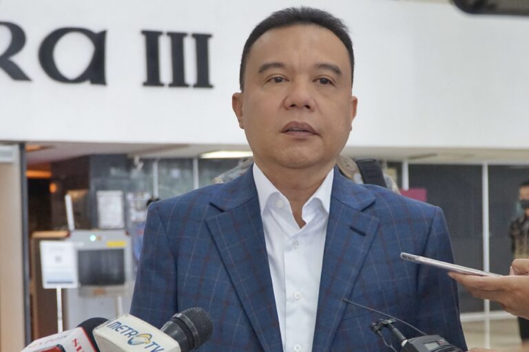 Wakil Ketua DPR Sufmi Dasco. Foto : Ist