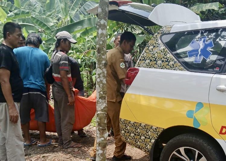 Warga Serang Tewas Saat Berburu Kodok Di Pandeglang Pihak Kepolisian dibantu para pihak terkait lainnya dan warga setempat, sedang melakukan evakuasi jenazah Bana warga Kabupaten Serang, yang ditemukan tewas di area persawahan Kampung Cipendeuy, Desa Sukajaya, Kecamatan Koroncong, Kabupaten Pandeglang, Senin (13/10)