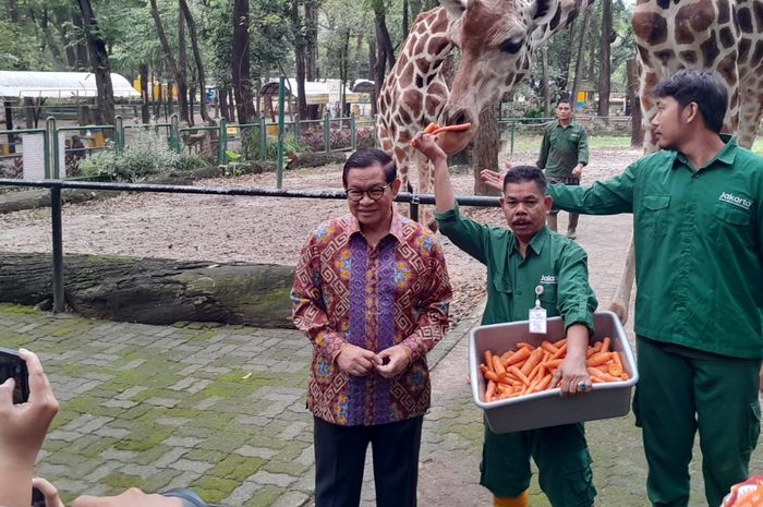 Gubernur Pramono Anung berada di Ragunan beberapa minggu yang lalu. Foto : Ist