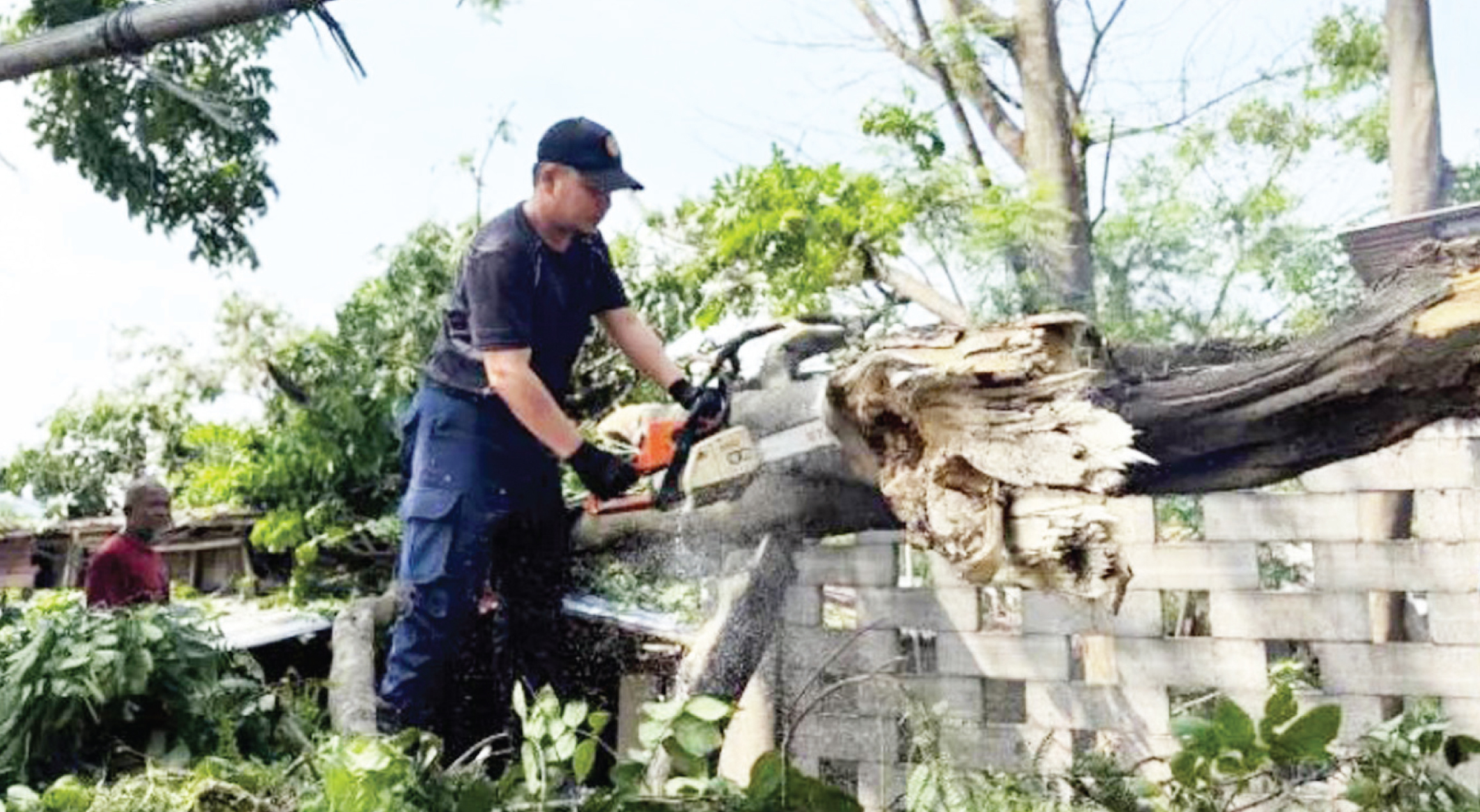 POHON TUMBANG. Petugas Badan Penanggulangan Bencana Daerah (BPBD) Kota Tangerang sedang memotong pohon yang tumbang di salah satu ruas jalan.