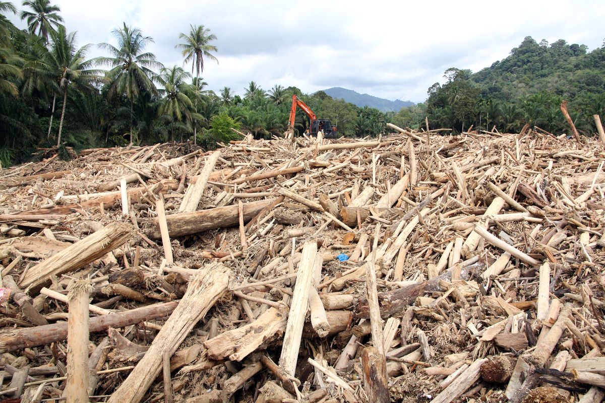Gelondongan kayu yang ditemukan pasca banjir bandang di Sumatera. Foto : Ist