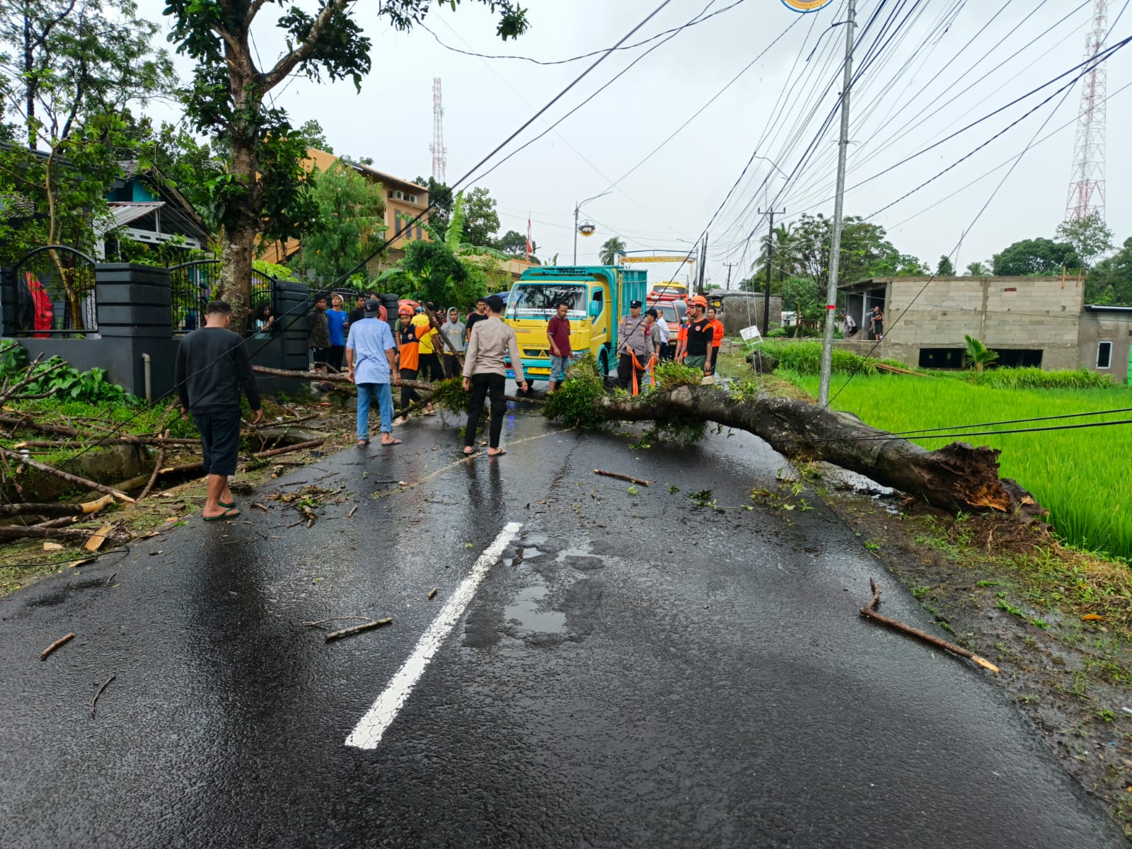 Para pihak sedang melakukan evakuasi pohon Asem yang tumbang menghalangi Jalan Raya Mengger-Caringin, tepatnya di Kampung Kebon, Desa Kurung Kambing, Kecamatan Mandalawangi, Kabupaten Pandeglang, Selasa (16/12).