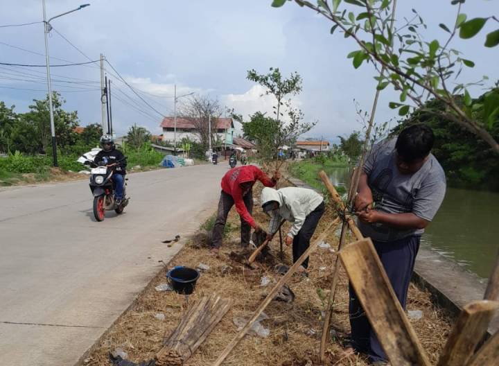 Pengiat Banksasuci Foundation melakukan penanaman 3.300 pohon di sepanjang bantaran Sungai Cisadane.