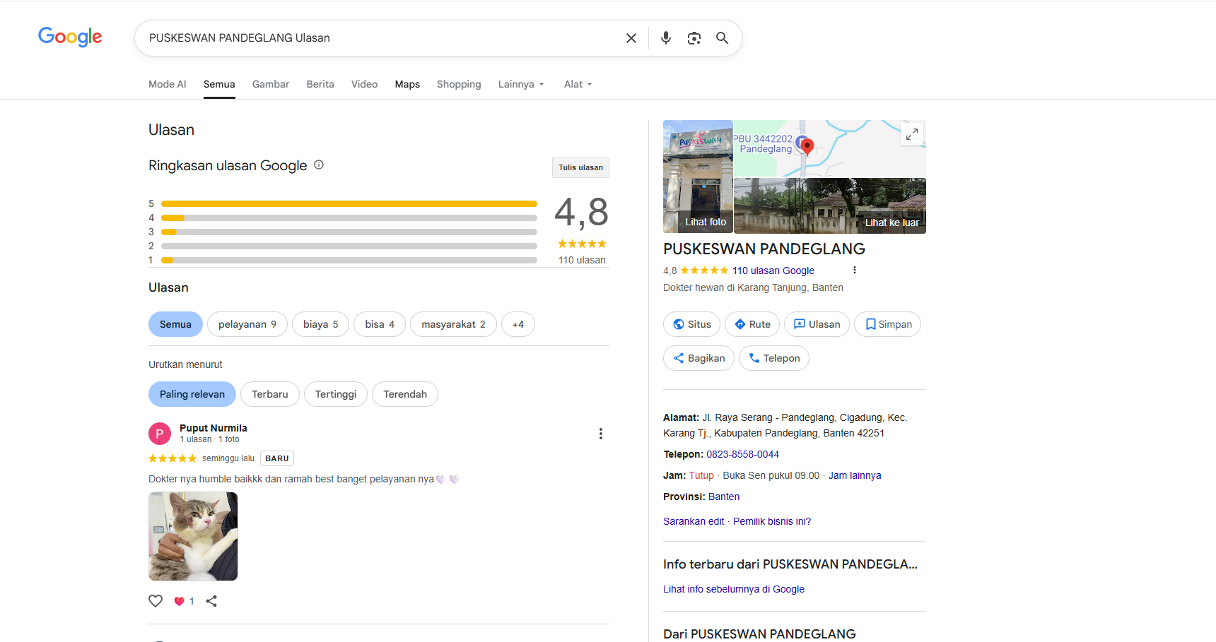 Ulasan warganet di Google Review terhadap Puskeswan Pandeglang.(Istimewa)