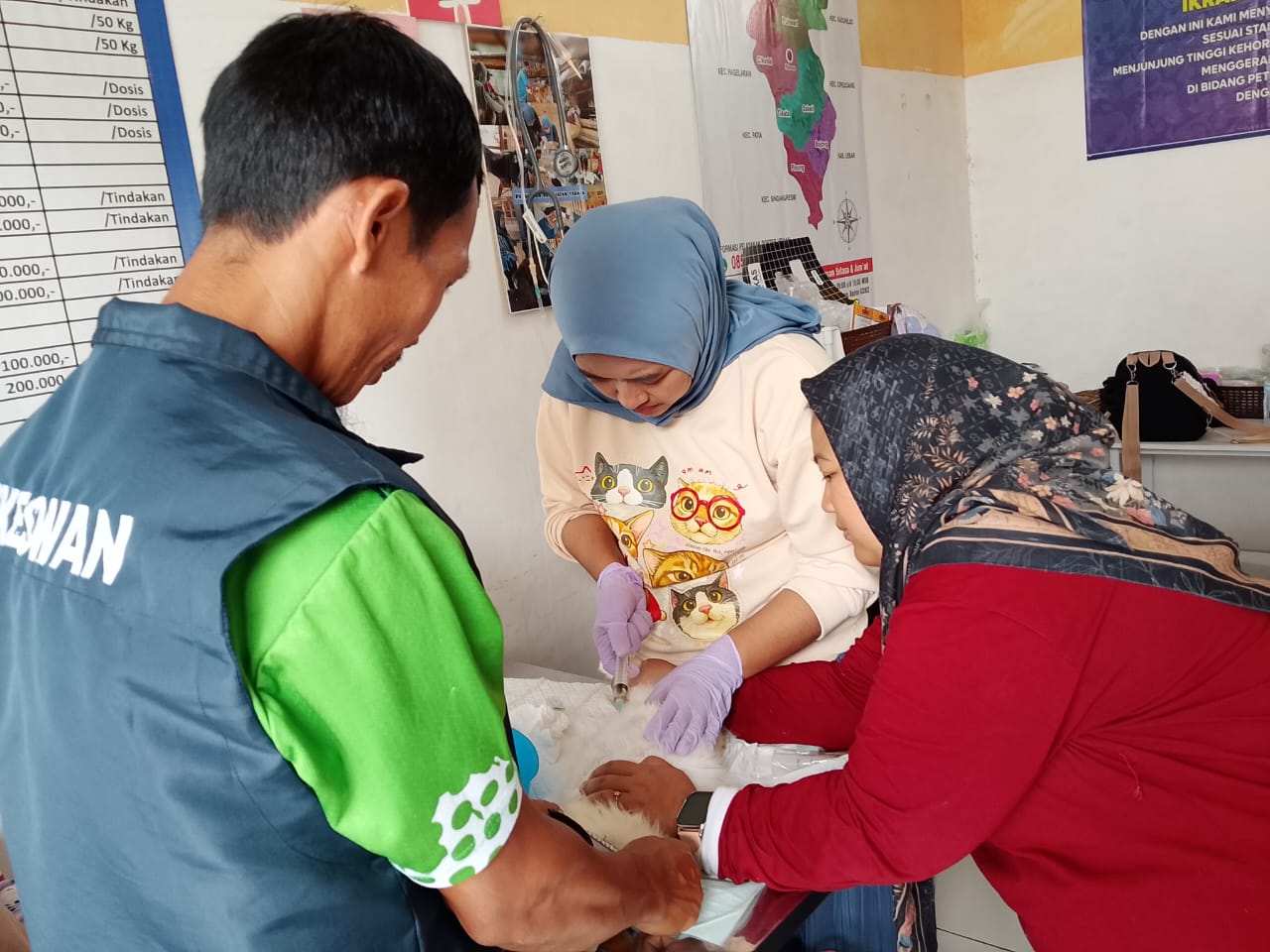 Pelayanan kesehatan hewan di Puskeswan Pembantu Menes, Selasa (13/1/2026). (Ist)