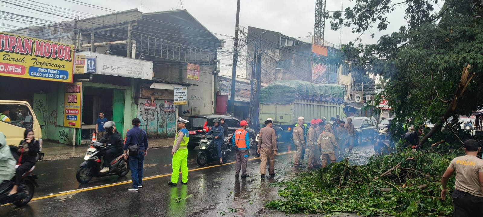 Pohon Angsana tumbang di Jalan RE Martadinata. Foto : Ist