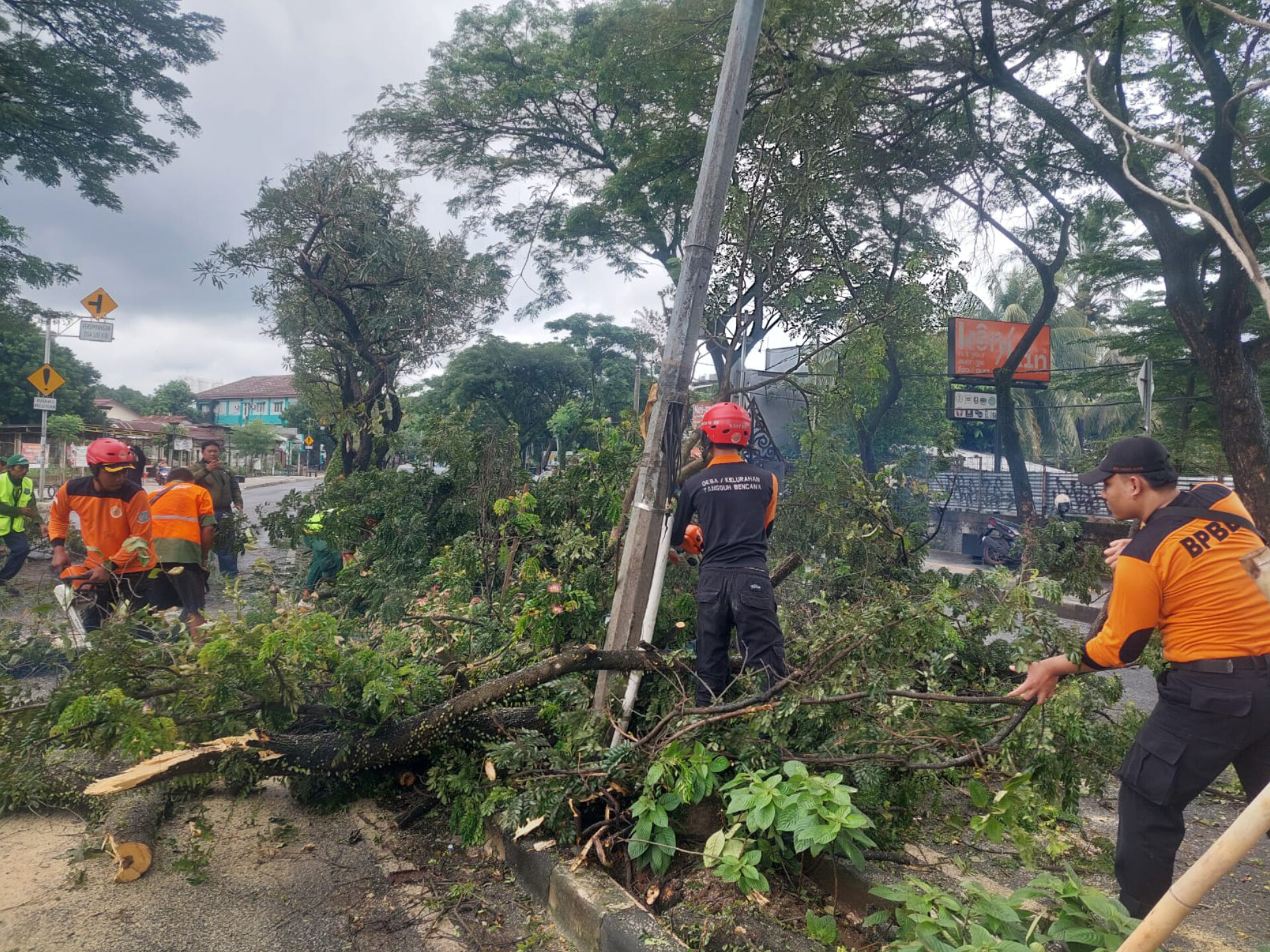 Petugas BPBD Kota Tangerang Selatan melakukan evakuasi pohon tumbang yang menutup akses Jalan Raya Ciater, BSD, Sabtu (3/1/2026).  (tangselpos.id/rmn)