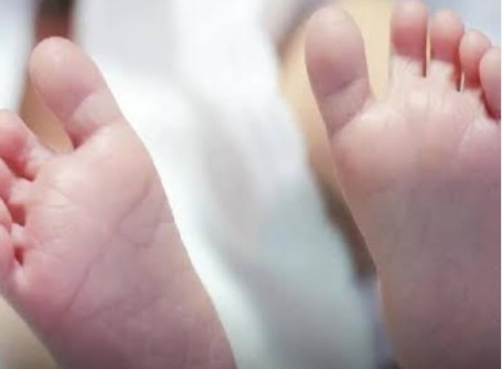 Ilustrasi. Foto : Ist