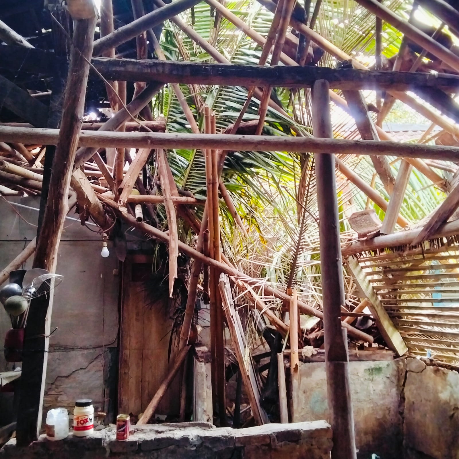 HANCUR. Kondisi rumah warga Kampung Lebak Gintung, Desa Mekarjaya, Kecamatan Cijaku, Kabupaten Lebak, yang tertimpa pohon kelapa setinggi 60 meter, terlihat rusak berat atau hancur, Senin (2/2).