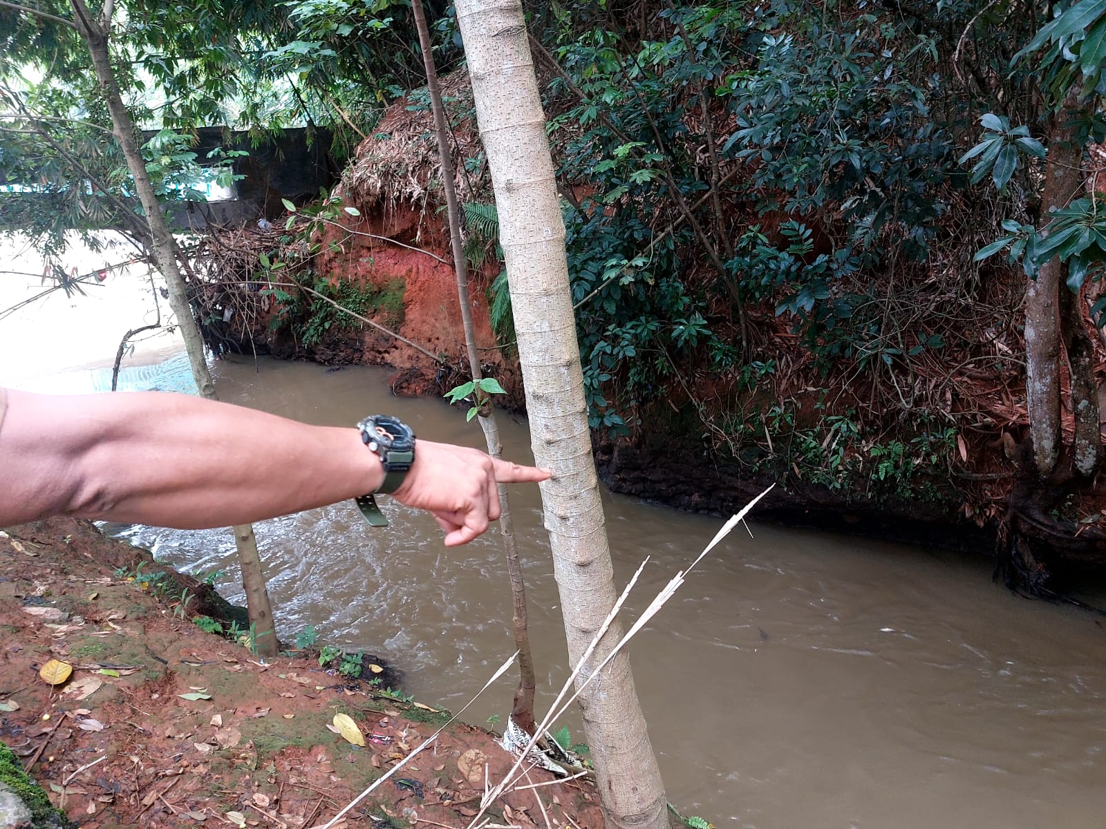 Aliran Sungai Jeletreng yang diduga tercemar imbas kebakaran gudang kimia di kawasan Tekno, Setu, Senin (9/2) dini hari, kini kembali normal. Pantauan Tangsel Pos pukul 13.24 WIB, warna putih yang sempat menghebohkan warga sudah tidak terlihat. (tangselpos.id/rmn)
