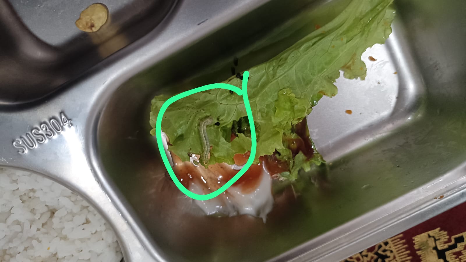 Menu MBG di SDN Pandeglang 4 yang terdapat ulat sayur.(Istimewa)