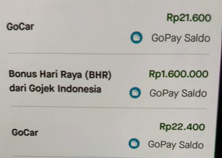 BHR 1.6jt unggahan driver ojol dari akun TikTok @driver_poin. Foto : Ist