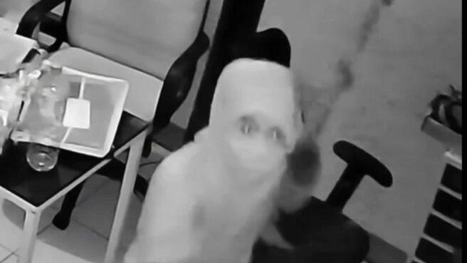 Aksi pencurian terjadi di sebuah toko laptop yang berada di Kelurahan Sawah Lama, Kecamatan Ciputat.