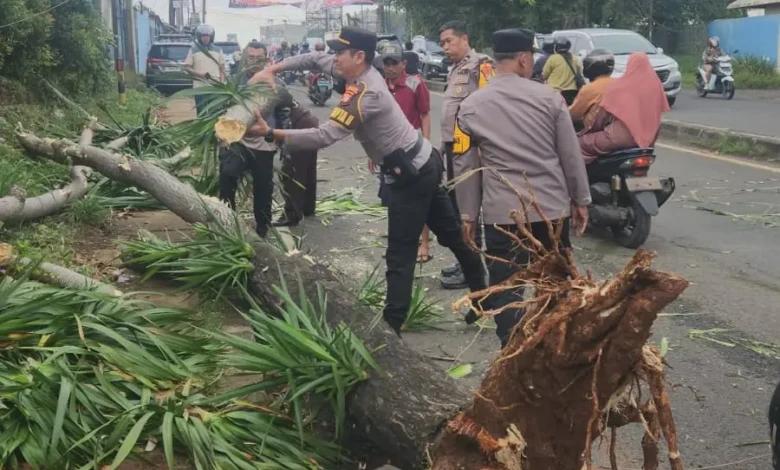 Polres Tangsel dalam menangani laporan masyarakat terkait pohon tumbang yang menimpa kendaraan di wilayah Pamulang, Rabu (24/3) sore.