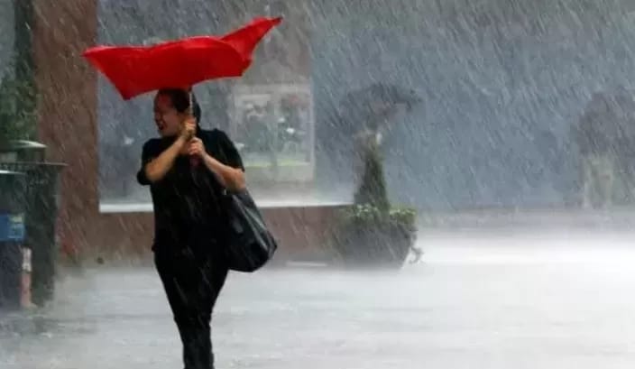 Ilustrasi. Foto : Ist