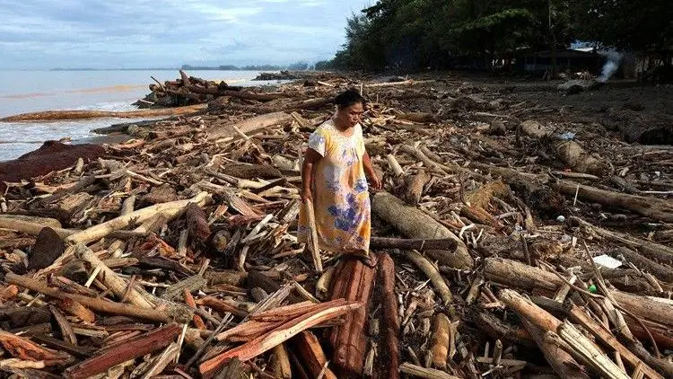 Kayu terbawa banjir. Foto : Ist