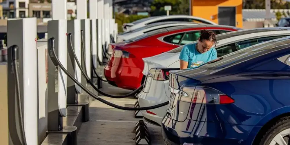 Ilustrasi. Foto : Ist