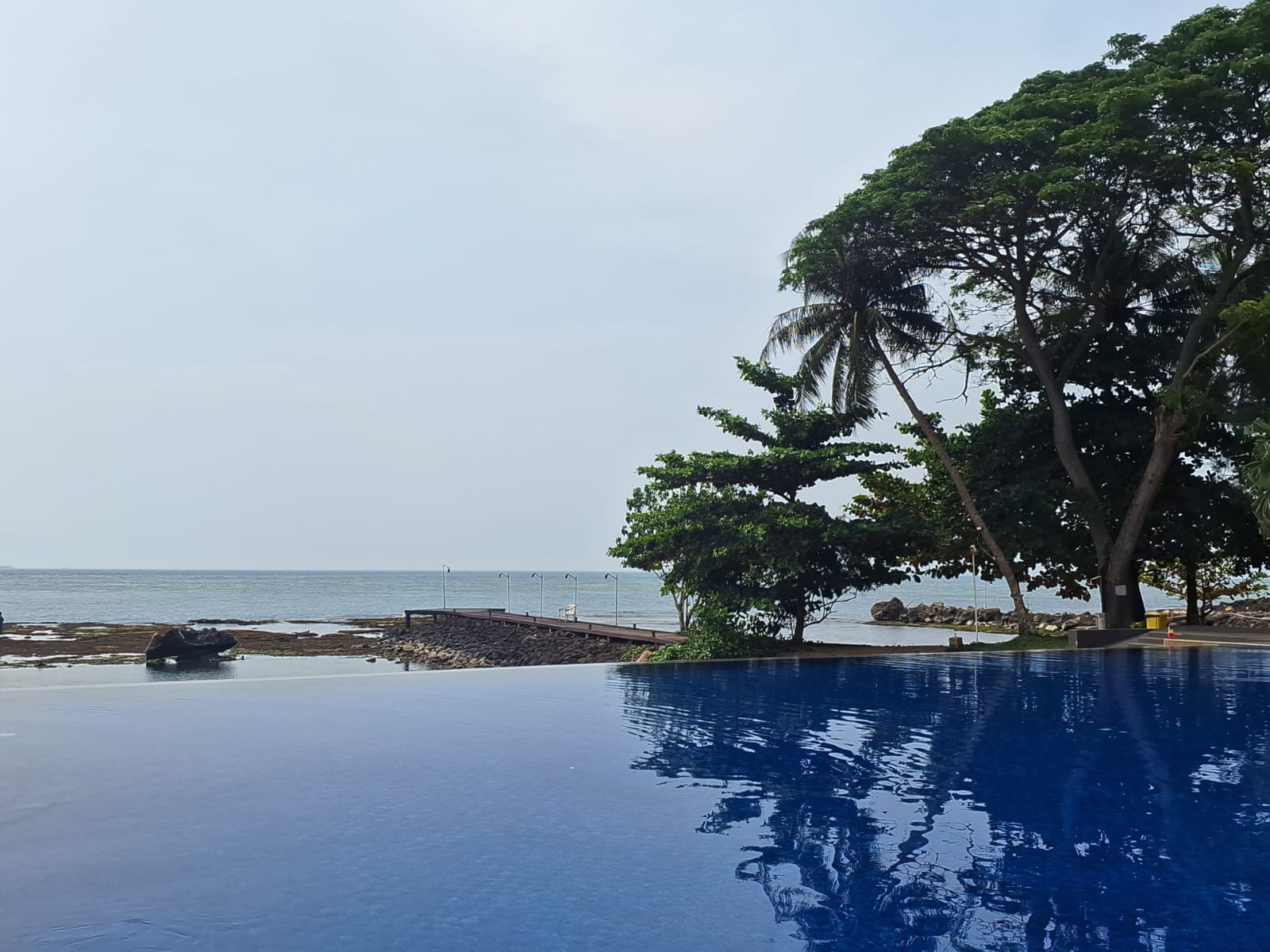 Mambruk Anyer.(Istimewa)