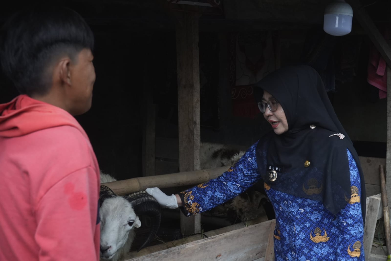 Bupati Pandeglang, Raden Dewi Setiani melakukan monitoring lapak hewan kurban di Kampung Kalahang Kadupereng, Kecamatan Karangtanjung, Rabu (20/5/2026).(Istimewa)