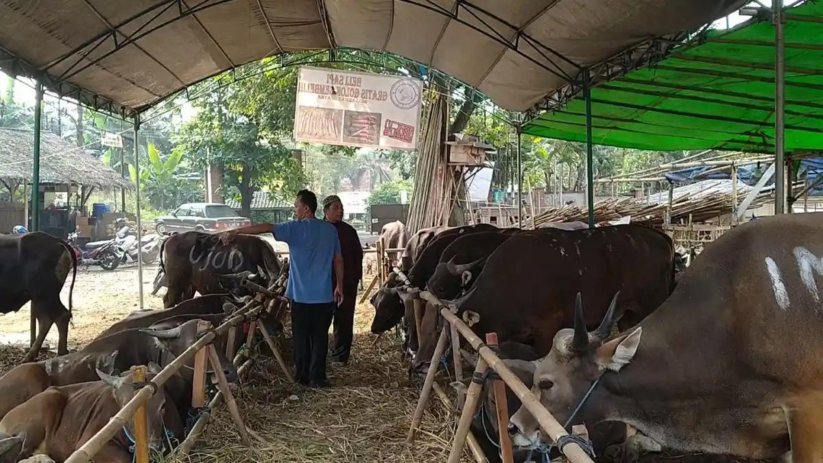 Para pedagang hewan kurban keluhkan sepinya pembelian hewan kurban tahun ini di Tangsel.