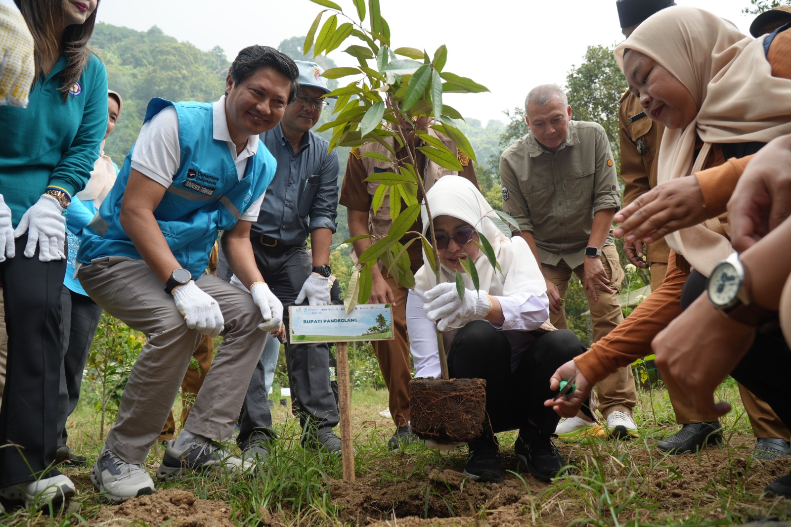 Raden Dewi Setiani bersama jajaran pegawai PT PLN Indonesia Power UBP PLTU Banten 2 Labuan serta masyarakat menggelar aksi penanaman ratusan bibit pohon di kawasan Gunung Karang, Desa Kaduengang, Kecamatan Cadasari, Selasa (30/6/2026).(Istimewa)