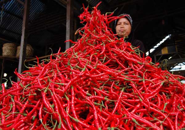 Cabe merah di pasar tradisional. Foto : Ist