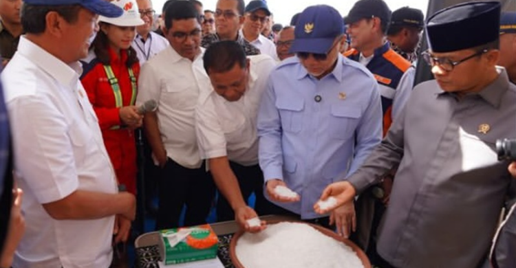 Menko Pangan Zulklifi Hasan saat meninjau Kawasan Sentra Industri Garam Nasional (KSIGN) di Rote Ndao, Nusa Tenggara Timur (NTT). Foto : Ist