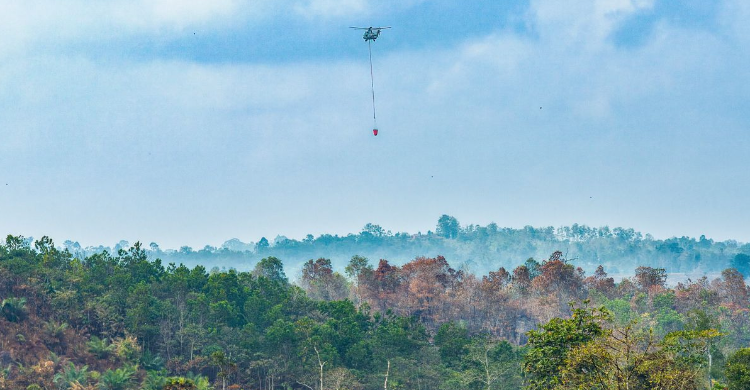 Lahan yang kebakaran di daerah IKN. Foto : Ist