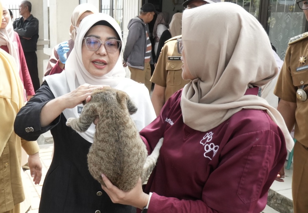 ELUS-ELUS KUCING. Bupati Pandeglang Raden Dewi Setiani, sedang mengelus-elus kucing yang sudah dilakukan pemeriksaan dan disuntik rabies, di halaman Kantor UPT Puskeswan Pandeglang, Senin (28/9). (DOK. PROKOPIM SETDA PANDEGLANG)