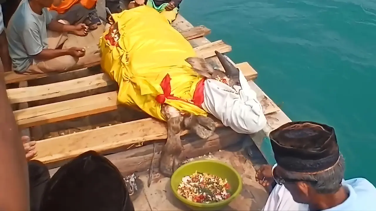 Kerbau yang telah disembelih dilarung ke perairan Selat Sunda. Foto : Ist