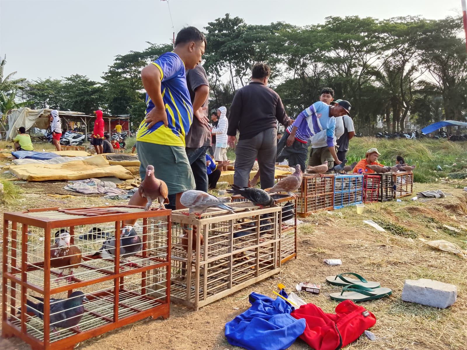 Tiga komunitas merpati berkumpul di lokasi, yakni Lapak Medan, Bon Klap, dan Merpati Kolong. Foto : Gio.MG