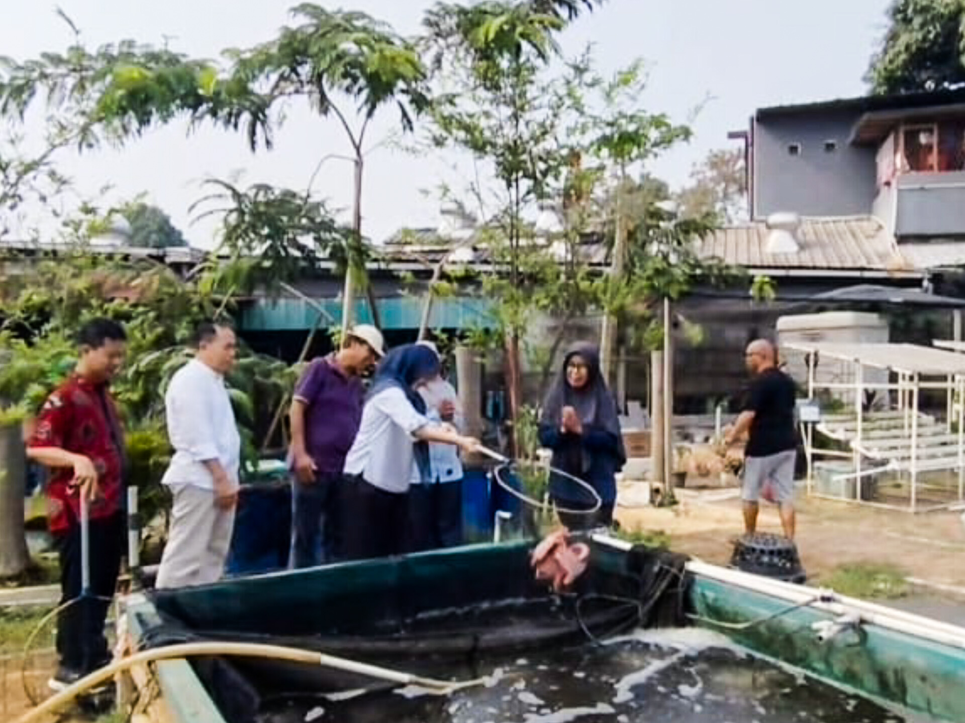 Kelompok Wanita Tani (KWT) Good Farm panen ikan nila hasil budidaya dengan total sekitar 50 kilogram pada Jumat (11/9/2026). (tangselpos.id/lim)