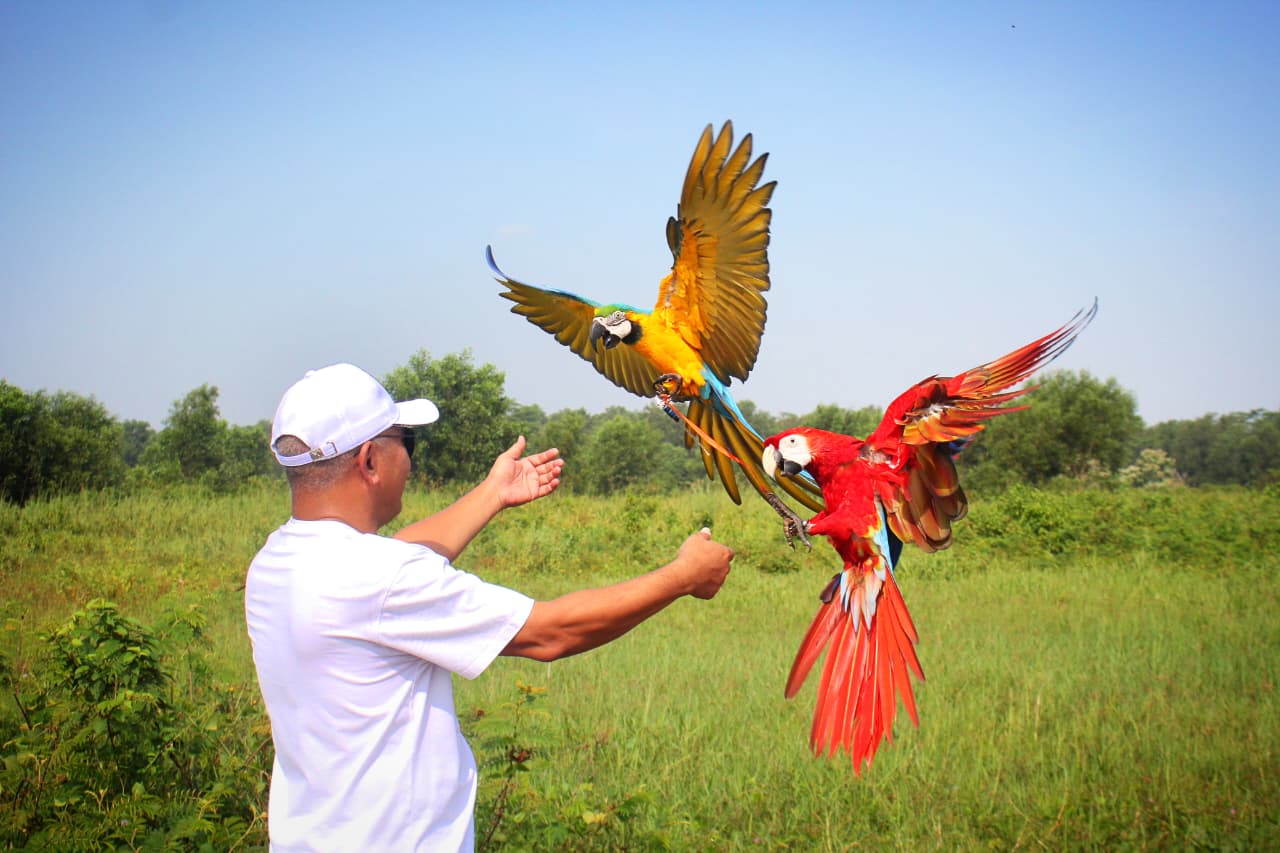 Komunitas Tangerang Parrot Lovers (TPL). Foto : Ist