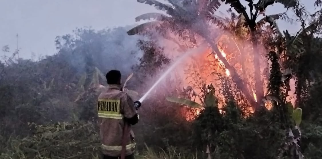 PADAMKAN API. Pihak Damkar Lebak dibantu jajaran Polsek Cibadak, sedang memadamkan api yang membakar lahan kosong BTN Bukit Kadu Agung Mandala, Desa Kadu Agung Tengah, Kecamatan Cibadak Kabupaten Lebak, beberapa waktu lalu. (ISTIMEWA)