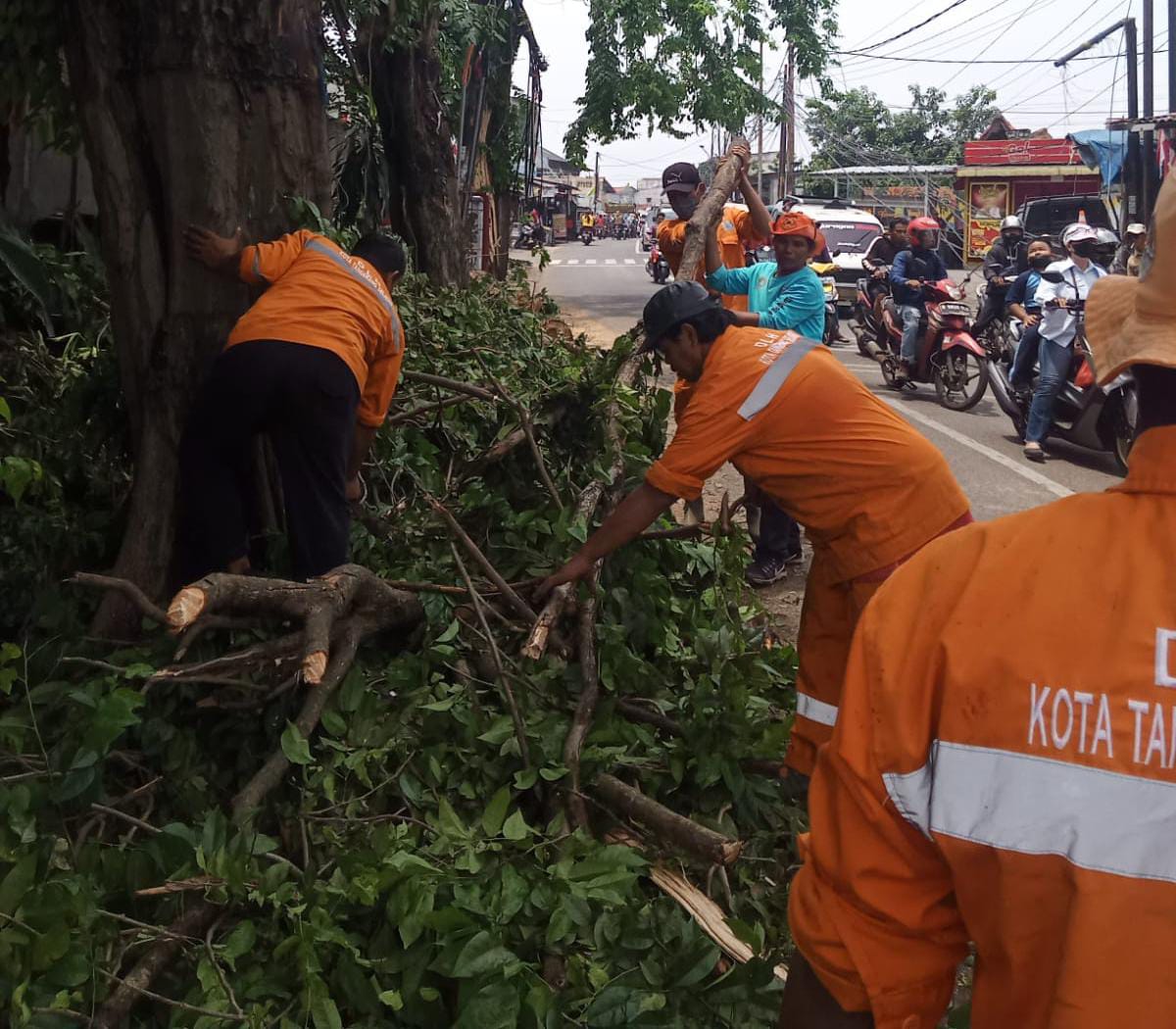 DLH Tangsel dan Pesapon Korwil Ciputat membersihkan pohon yang tumbang akibat hujan angin kemarin. (tangselpos.id/ist)