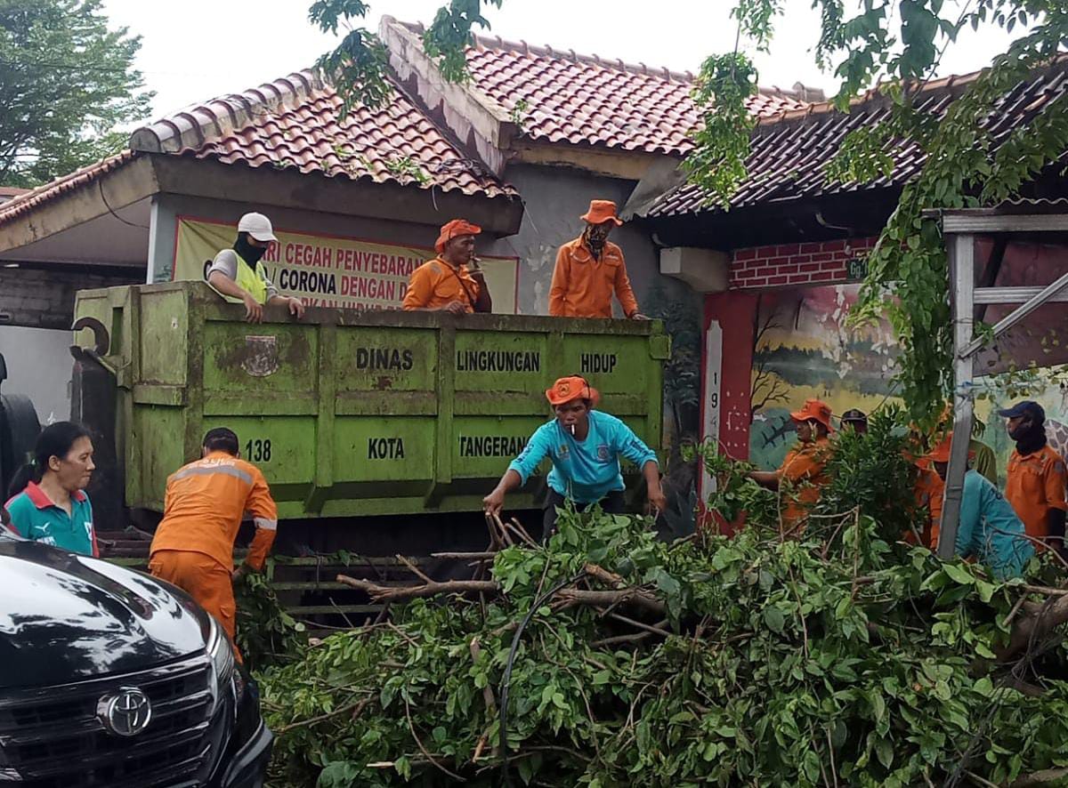 DLH Tangsel dan Pesapon Korwil Ciputat membersihkan pohon yang tumbang akibat hujan angin kemarin. (tangselpos.id/ist)