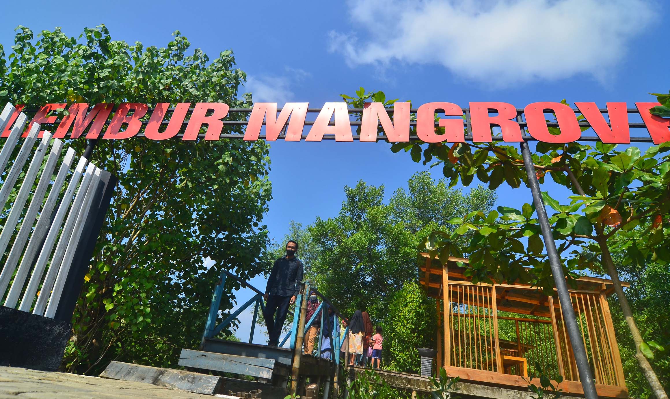 Kawasan Edo-Ekowisata Mangrove